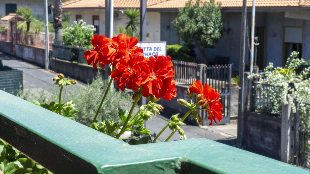 Grotta Del Monaco Bed & Breakfast Pedara Exterior foto
