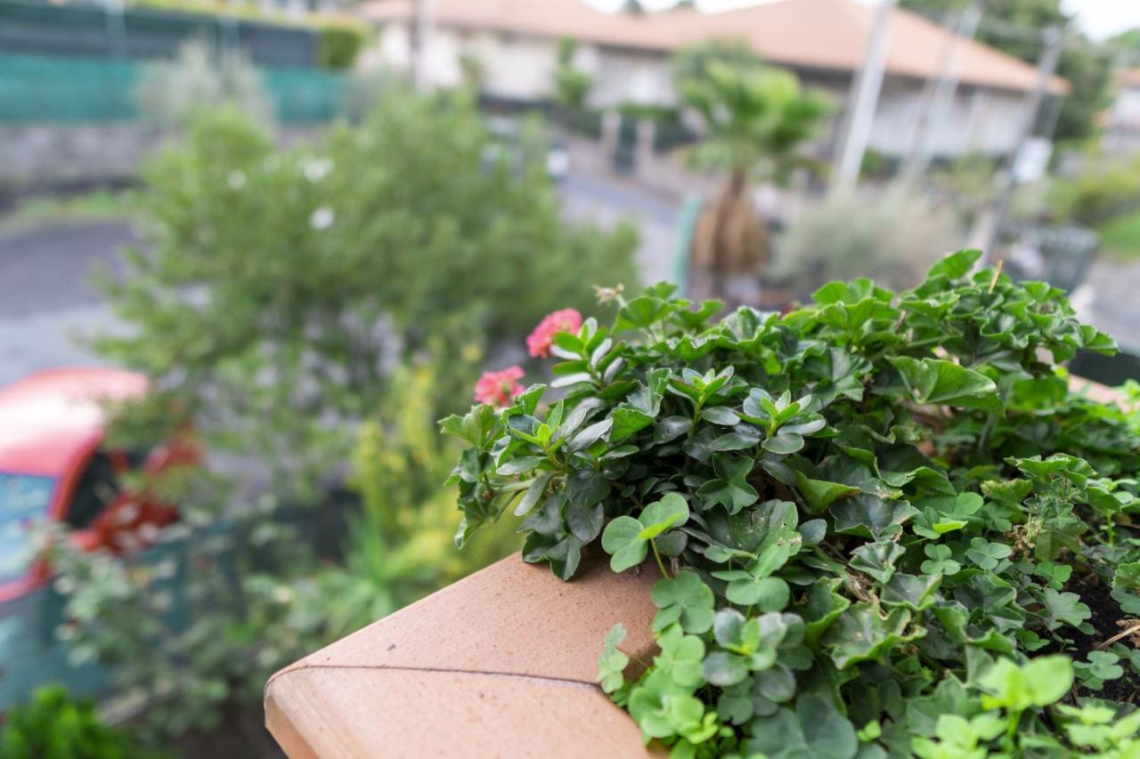 Grotta Del Monaco Bed & Breakfast Pedara Exterior foto